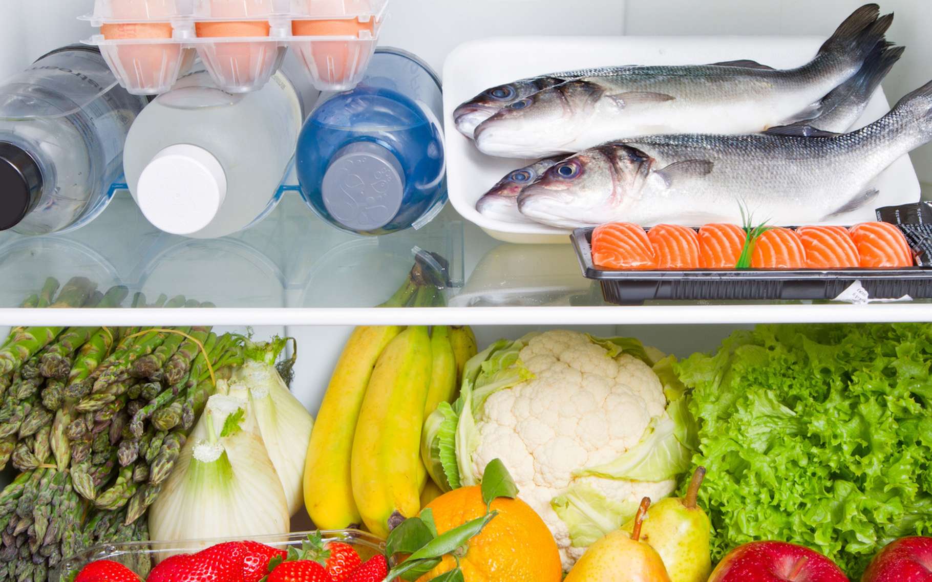 Votre frigo consomme plus d’énergie que vous ne le croyez