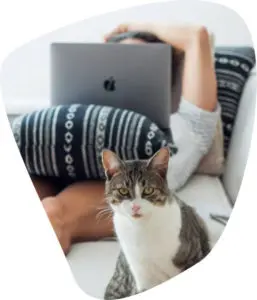 chat